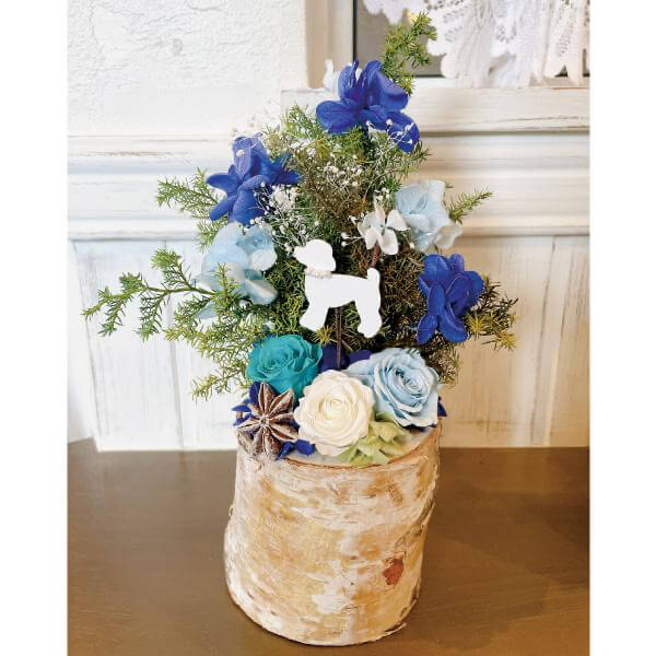 アニマル　ブルーツリー