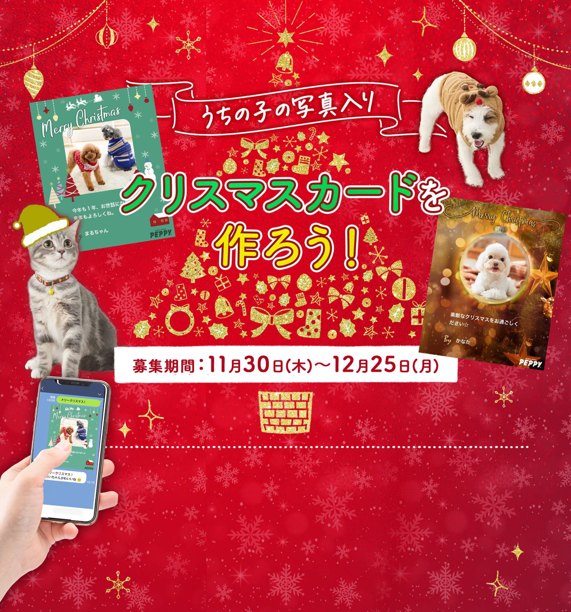 うちの子写真入り クリスマスカードを作ろう！