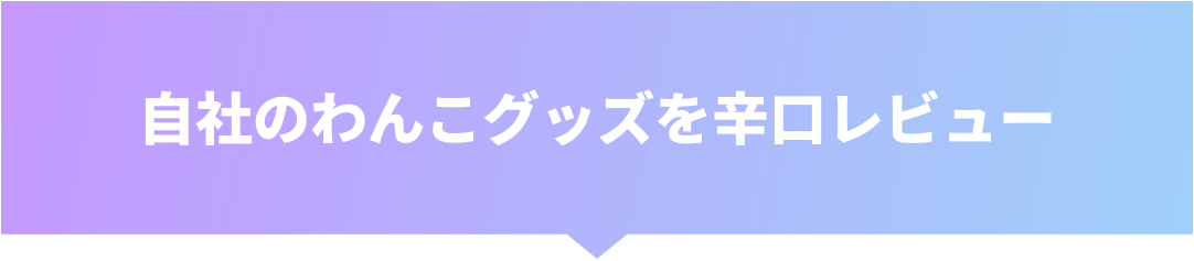 自社のわんこグッズを辛口レビュー