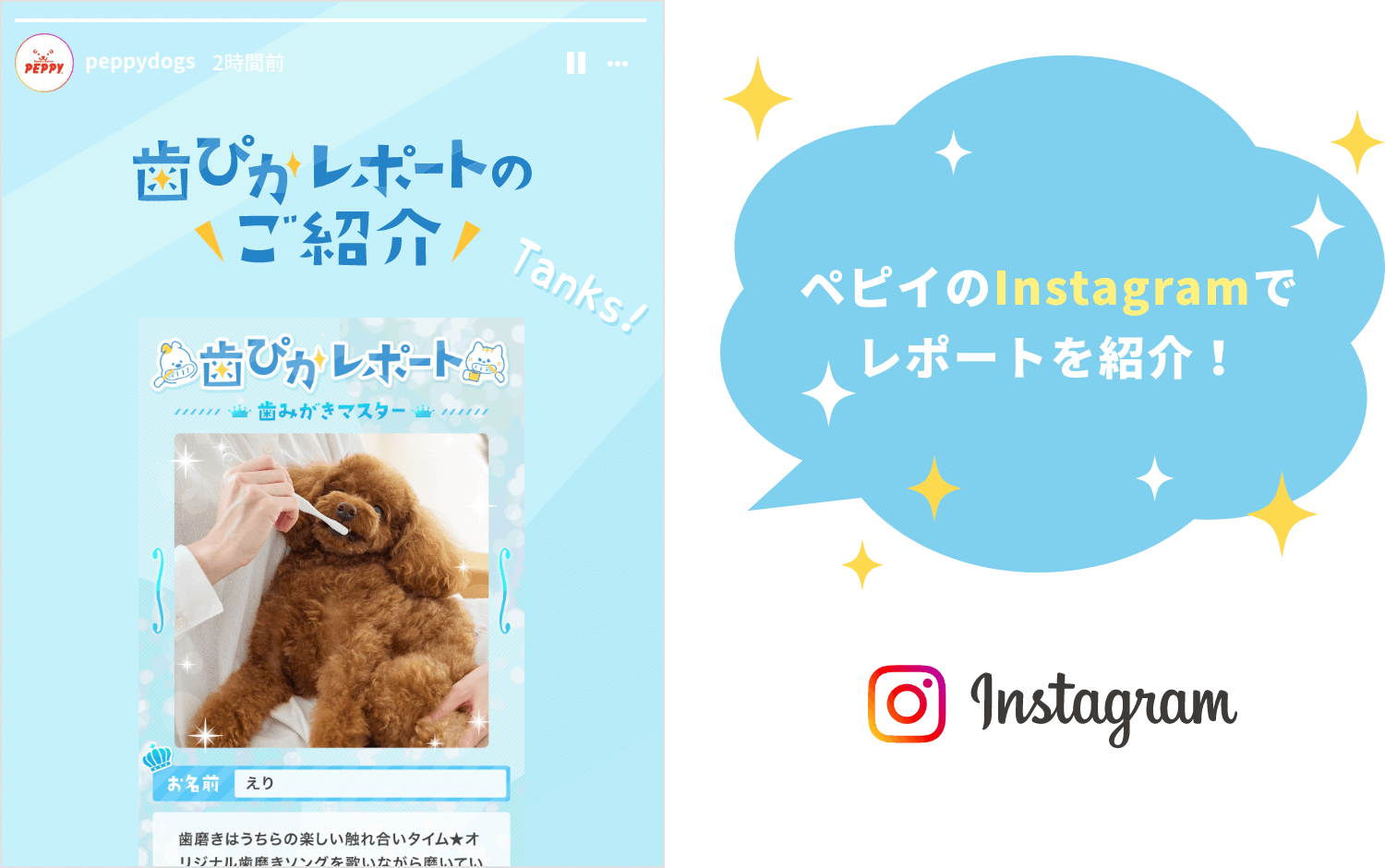 ペピイのInstagramで レポートを紹介！