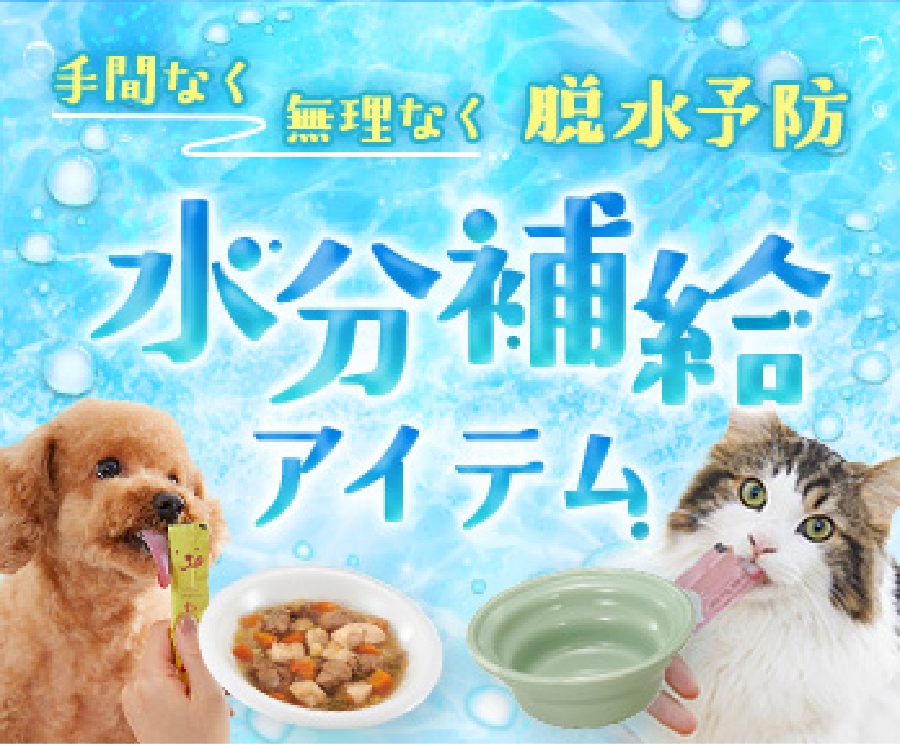水分補給アイテム