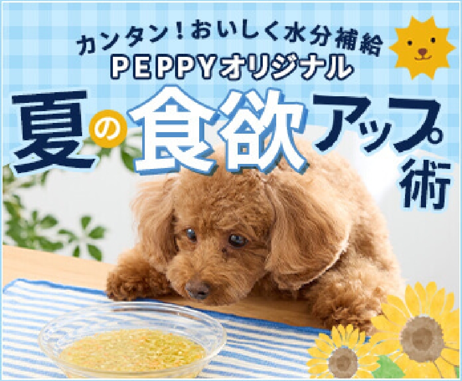 夏の食欲アップ術