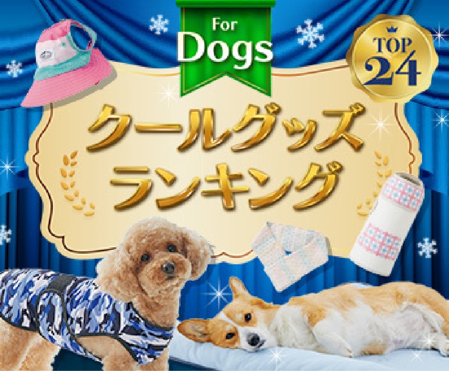 クールグッズランキング for dog
