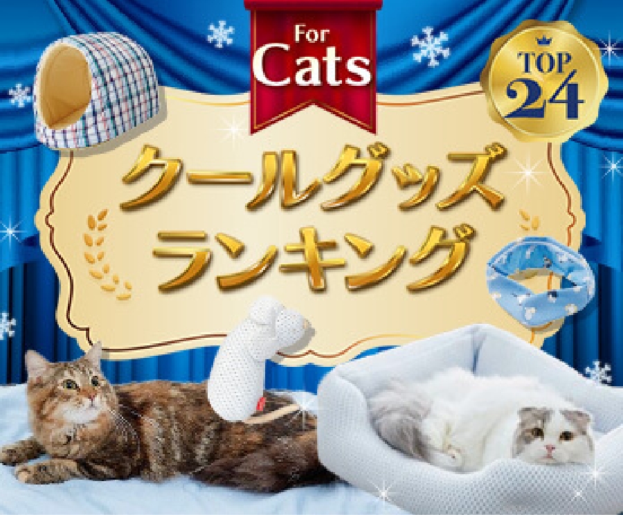 クールグッズランキング for cat