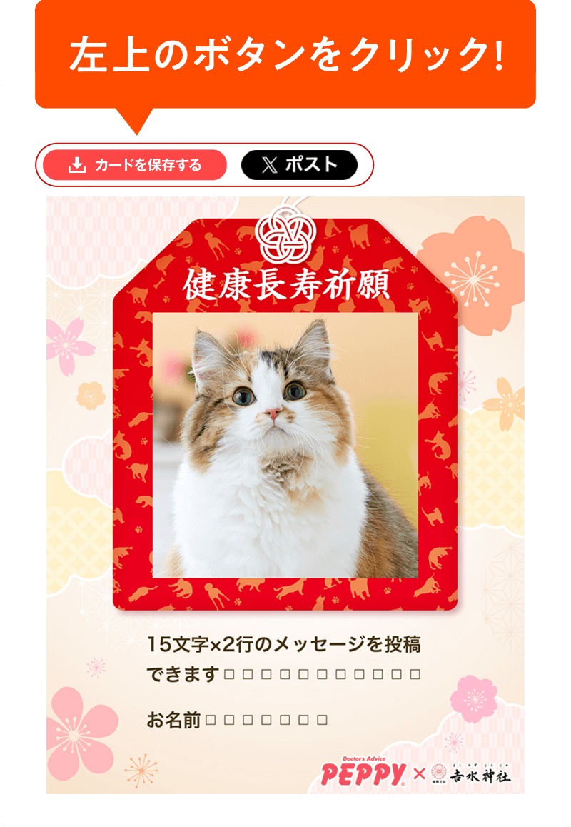 左上のボタンをクリック！