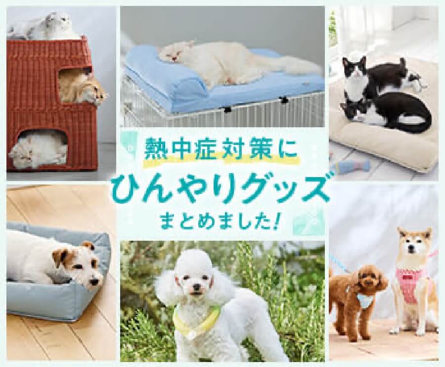 ひんやりグッズまとめ