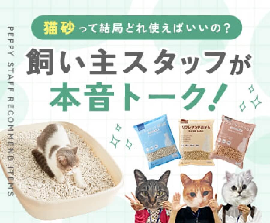 猫砂スタッフ本音特集