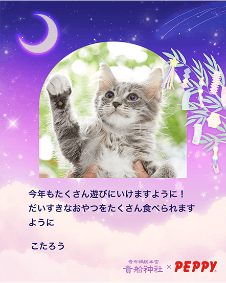 星に願いを(ほしぞら)