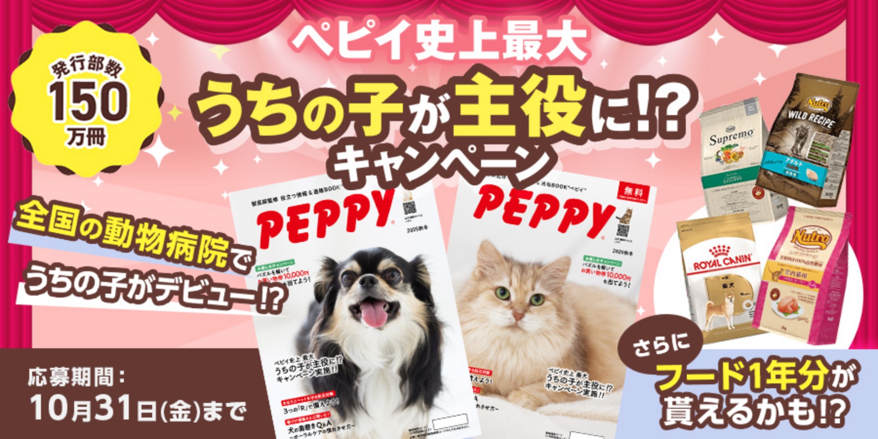 パズルキャンペーン