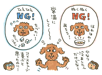 おきらく研究所 猫舌で犬舌です ペット用品通販 ペピイ