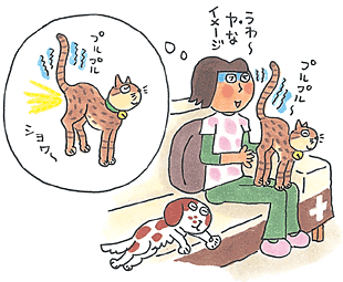 おきらく研究所 尻尾プルプルの真実 ペット用品通販 ペピイ
