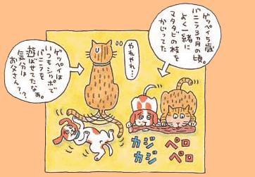 パウなヤツら 犬猫は仲良しの巻 ペット用品通販 ペピイ