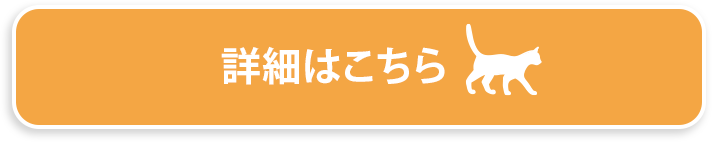 詳細はこちら