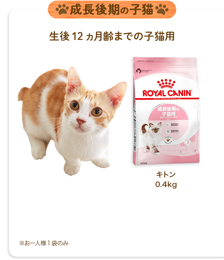 成長後期の子猫生後12ヵ月齢までの子猫用キトン0.4kg※お一人様1袋のみ