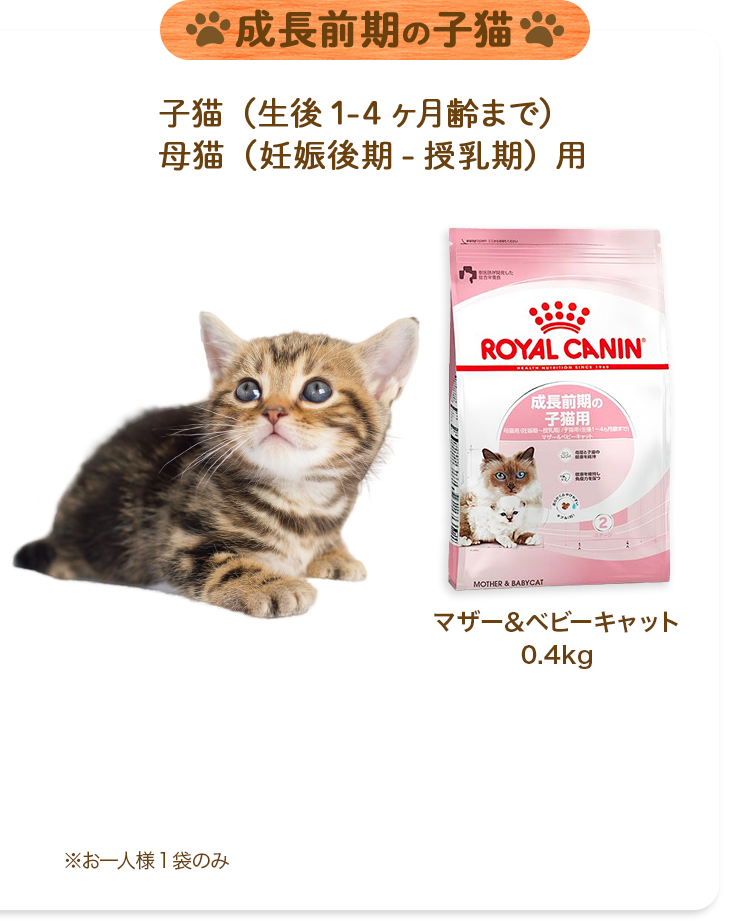 成長前期の子猫子猫（生後1-4ヶ月齢まで）母猫（妊娠後期-授乳期）用マザー＆ベビーキャット0.4kg※お一人様1袋のみ