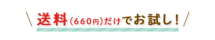 送料(660円)だけでお試し！