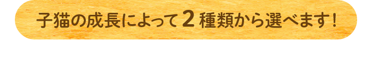 子猫の成長によって2種類から選べます！