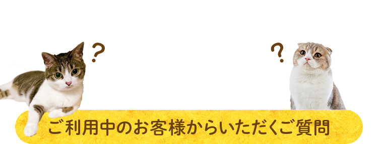 ご利用中のお客様からいただくご質問