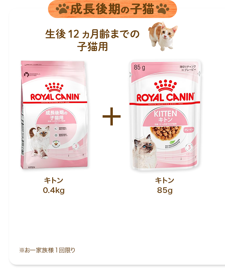 成長後期の子猫 生後12ヵ月齢までの 子猫用 キトン 0.4kg キトン 85g ※お一家族様1回限り
                