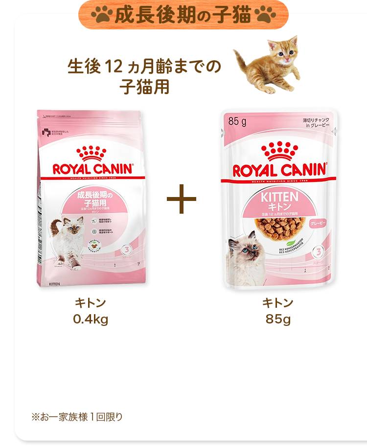 ロイヤルカナンの子猫用ドライフードを送料(660円)だけでお試し！