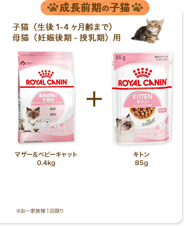 新品　ロイヤルカナン　猫　子猫後期　成長後期の子猫用　2kg×2袋セット フードを細かくできる子猫セット ロイヤルカナン 猫 マザー
