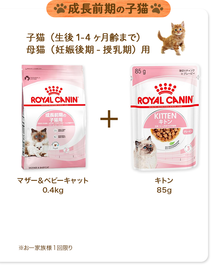 成長前期の子猫子猫（生後1-4ヶ月齢まで）母猫（妊娠後期-授乳期）用マザー＆ベビーキャット0.4kg※お一家族様1回限り