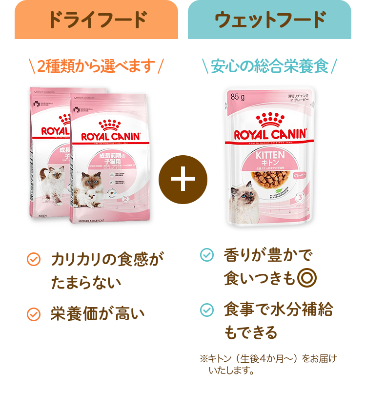 ドライフード 2種類から選べます カリカリの食感がたまらない栄養価が高い ウェットフード 安心の総合栄養食 香りが豊かで食いつきも食事で水分補給もできる ※キトン（生後４か月～）をお届けいたします。
