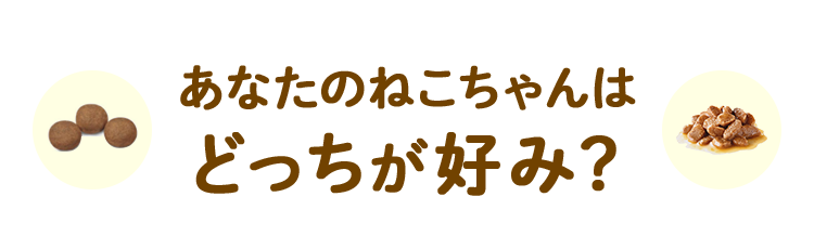 あなたのねこちゃんは どっちが好み？