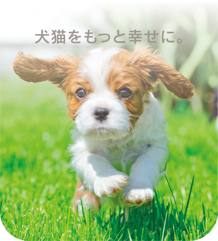 ようこそペピイへ - ペット用品の通販サイト ペピイ（PEPPY）