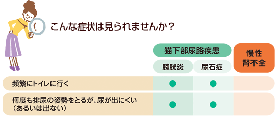 症状から見つける猫の病気 泌尿器系
