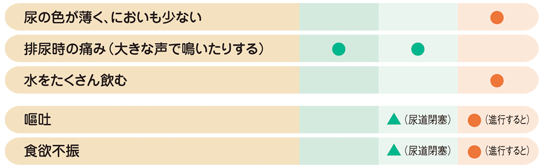 症状から見つける猫の病気 泌尿器系