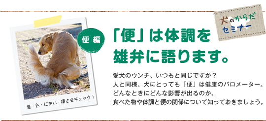 便 は体調を雄弁に語ります 犬のからだセミナー 便編 ペット用品の通販サイト ペピイ Peppy