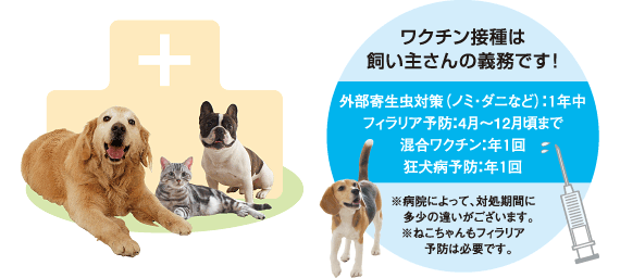 動物病院に行こう！ - ペット用品の通販サイト ペピイ（PEPPY）