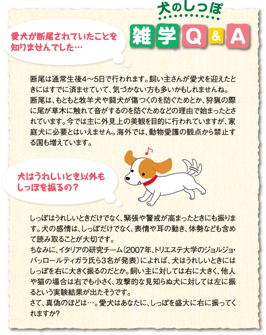 犬の しっぽ のこと どこまで知ってる 犬のからだセミナー しっぽ編 ペット用品の通販サイト ペピイ Peppy