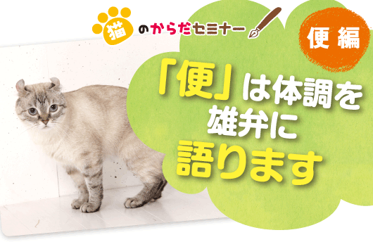 便 は体調を雄弁に語ります 猫のからだセミナー 便編 ペット用品の通販サイト ペピイ Peppy