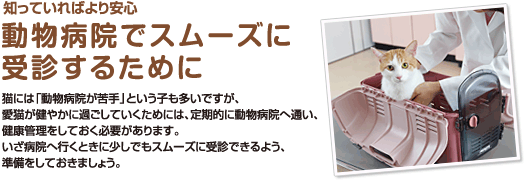 おうちで愛猫の健康チェック - ペット用品の通販サイト ペピイ（PEPPY）