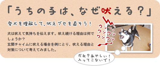 玄関チャイムで吠える場合を考えてみよう ペット用品の通販サイト ペピイ Peppy