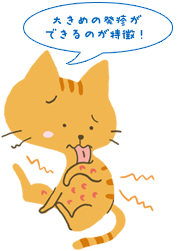症状から見つける猫の病気 「かゆがる」 - ペット用品の通販サイト 