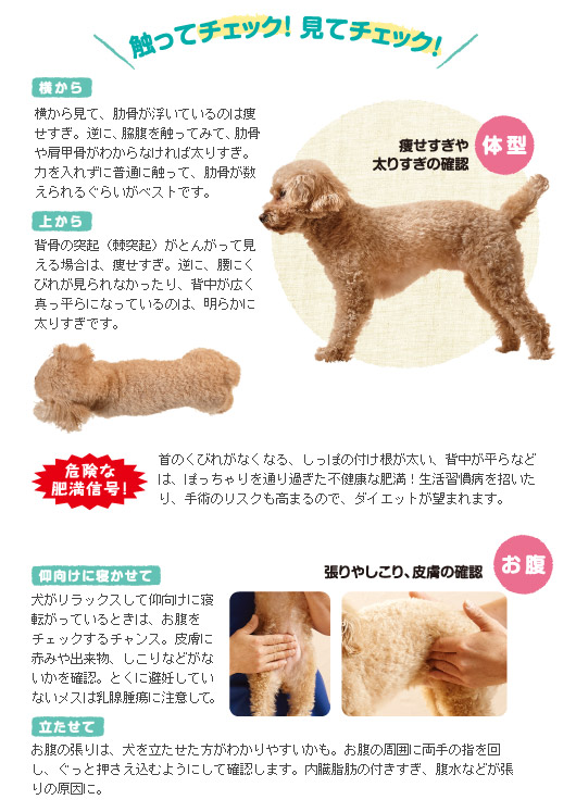 獣医師監修 教えて先生 獣医師さんの健康講座 わんちゃん編 ペット用品の通販サイト ペピイ Peppy 獣医師監修 教えて先生 獣医師さんの健康講座 わんちゃん編 ペット用品の通販サイト ペピイ Peppy