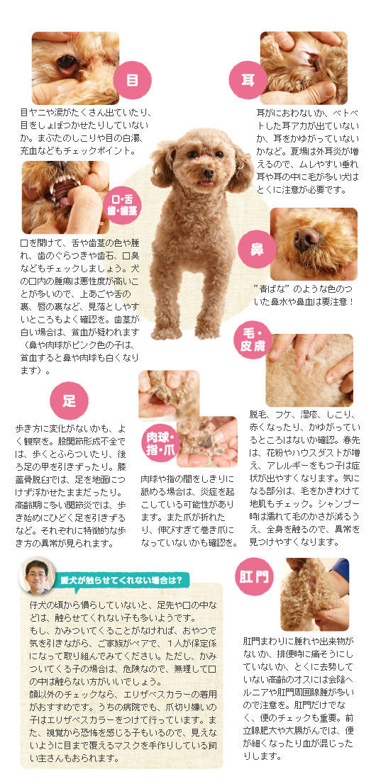 獣医師監修 教えて先生 獣医師さんの健康講座 わんちゃん編 ペット用品の通販サイト ペピイ Peppy