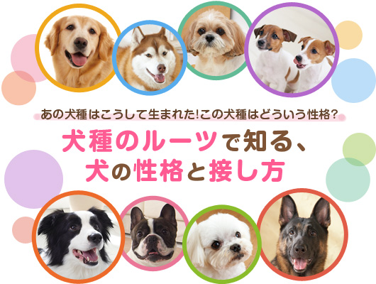 犬種のルーツで知る 犬の性格と接し方 ペット用品の通販サイト ペピイ Peppy