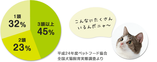 獣医師監修 気になる多頭飼い大調査 みんなで仲良く暮らすには ペット用品の通販サイト ペピイ Peppy