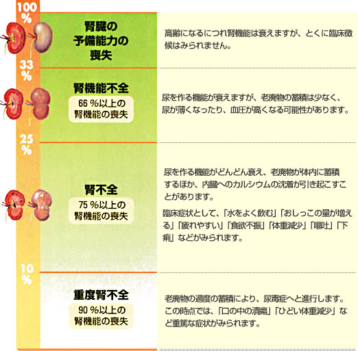 症状が出てからでは遅い 猫と犬の腎臓病について ペット用品の通販サイト ペピイ Peppy
