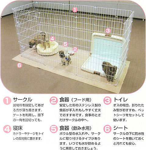 Q58 部屋で放し飼いをしてから トイレでしなくなってしまいました ペット用品の通販サイト ペピイ Peppy