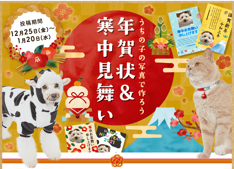 安い 年賀状 ペット 犬