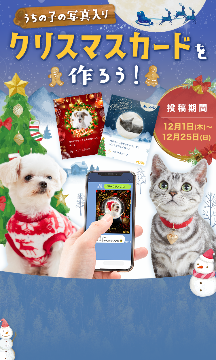 大好きなペットの写真でクリスマスカードを作ろう 22年ver
