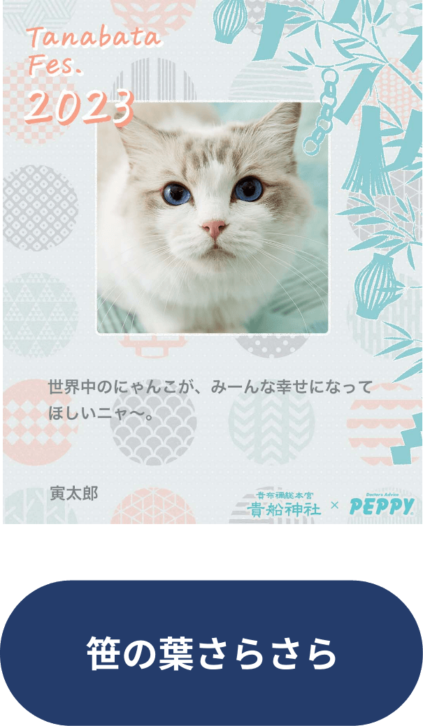 星に願いを大作戦 2023【貴船神社に皆様の願いを届けます☆彡】