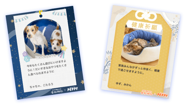 みんとさま専用　 50弁 星に願いを 遠い音楽 吉良知彦 ZABADAK【MM521F+FA0】 – オルゴールギャラリー