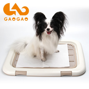 検尿用採尿シート