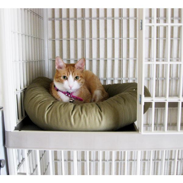 プラケージ ※リニューアル前の色です。